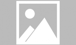 吃瓜小说娱乐圈鼻祖全文阅读,吃瓜小说全文阅读揭秘